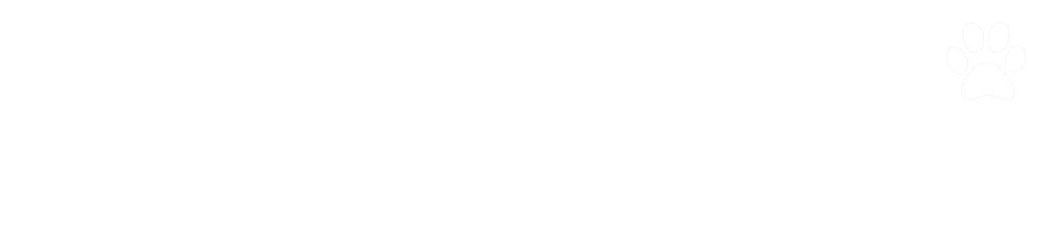 Adotp, do not Shop. Rehome, do not Abandon.